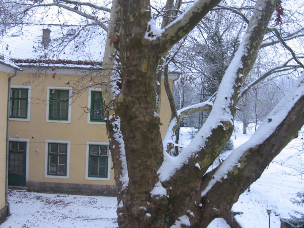 Mater Salvatoris House Otel Gödöllő Dış mekan fotoğraf